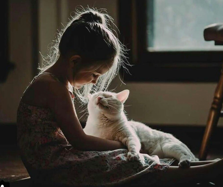 A Gentle Guide to Pet Memorial Keepsakes: How Ashes-to-Glass Helps Families Hold Love Close