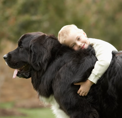 Child hugging a large black dog outdoors with a blurred natural background. Dog and Child Ashes to Glass Keepsakes, child and dog smiling. 