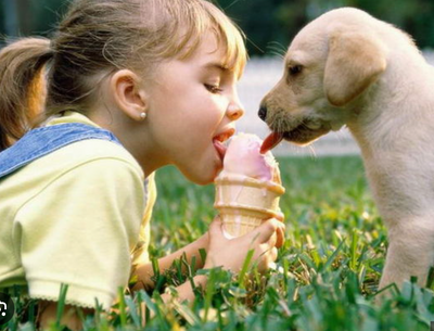 Child and puppy sharing an ice cream cone in a grassy area. Little girly is wearing a pair of memorial glass earrings 