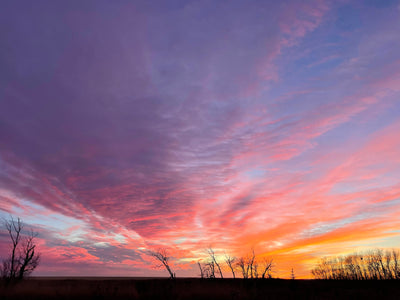 Vancouver Island sunset with colourful clouds and silhouetted trees, ocean, reflects the colours and inspiration of the artist Kimberley Anne Reid.handmade glass jewelry contact. 